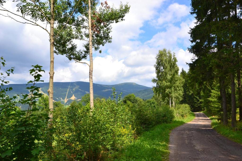 Apartmany Ski Lift Rokytnice nad Jizerou Buitenkant foto